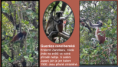 /album/hredelaci-na-safari-v-africe/snimek-obrazovky-114-png/